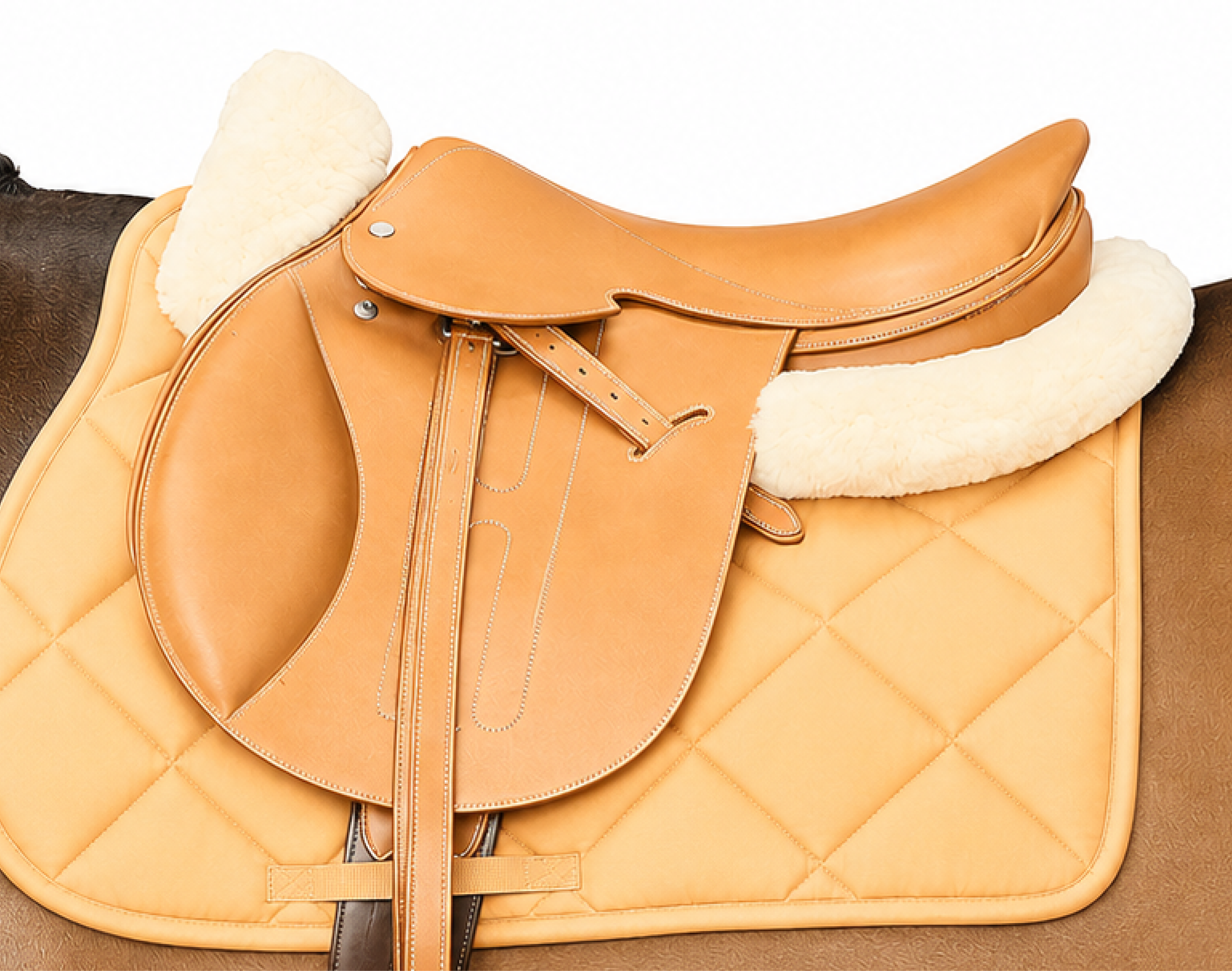 Honey Saddle