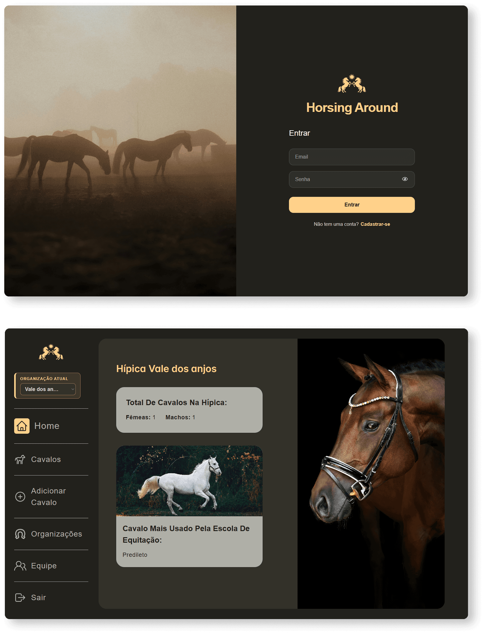 Horsing Around login and dashboard screens