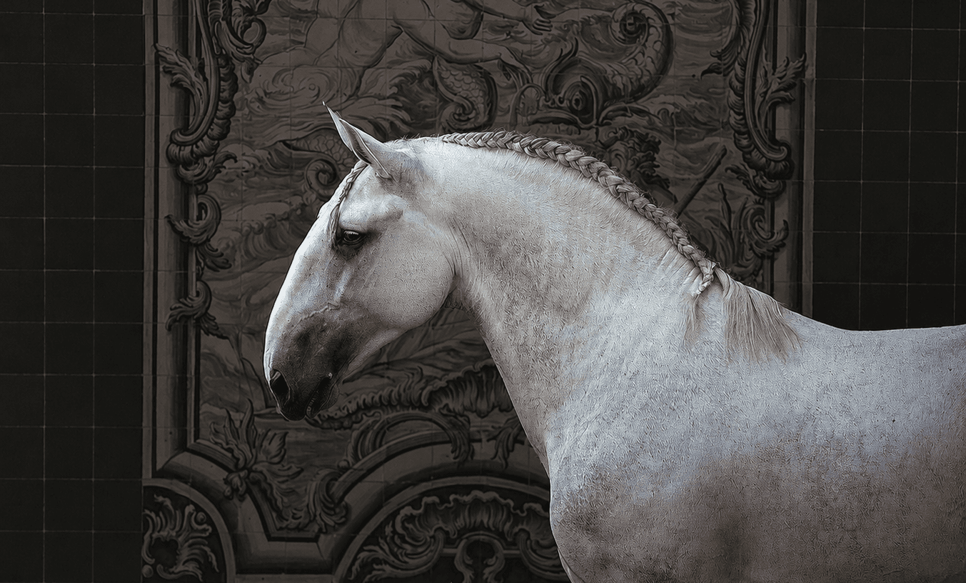 Horsing Around Application